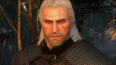 El's Custom Complexions at The Witcher 3 Nexus - Mods and community