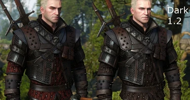 witcher 3 all armor sets