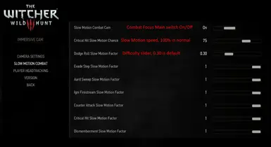 Immerse Camera settings replaced 