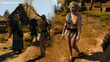 the witcher 3 nude mods