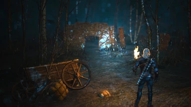 witcher 3 better torches