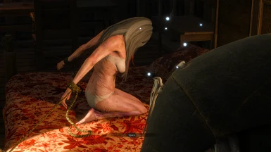 Naked Witcher