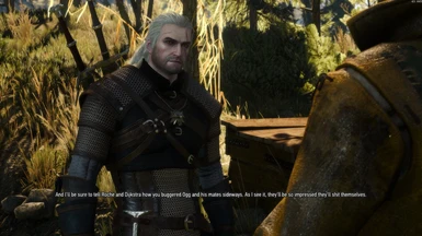 Geralt_104