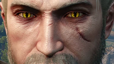 Young Geralt Eyes