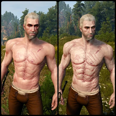 vanilla vs Young Geralt