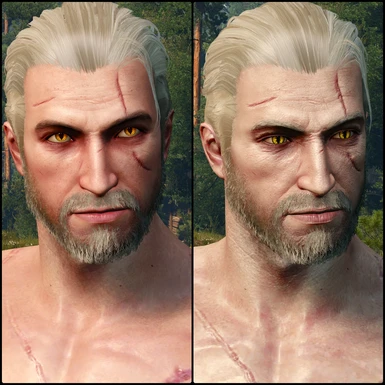 El's Custom Complexion vs Young Geralt