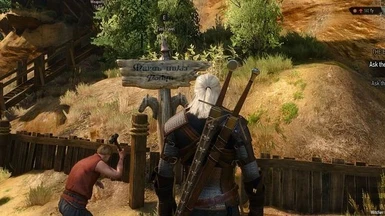fast travel from anywhere witcher 3
