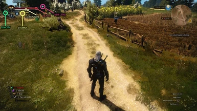 mod] The Witcher: Black Edition - UI & HUD Redesign