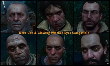 Unique Witcher Eyes (except Geralt) NEXT - GEN