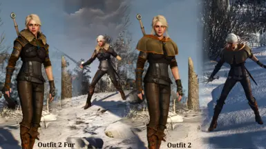 Viper Armour For Ciri