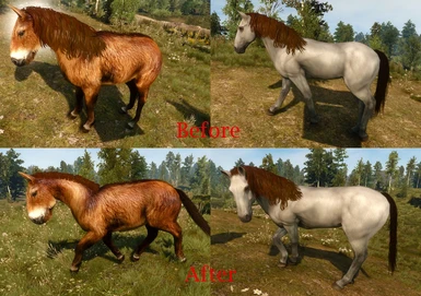 Shadow Fix for Wild Horses
