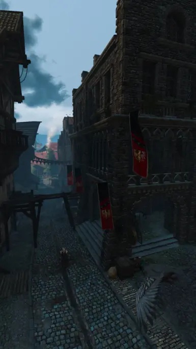 While walking down the streets of Novigrad to sell some loot, Geralt sensed dive bombing was about to happen...