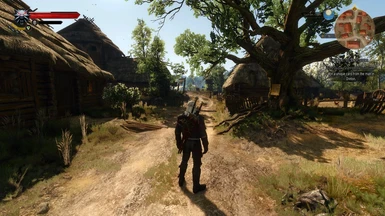 Fov Fix Or Tweak At The Witcher 3 Nexus Mods And Community