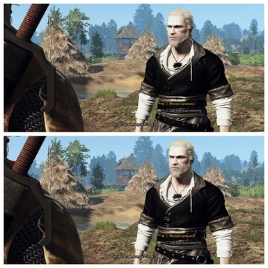 witcher 3 guard addons
