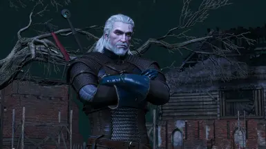 witcher 3 overhaul mods