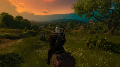 witcher 3 increased draw distance