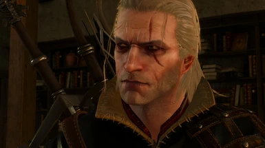 Optional Geralt Face Mod