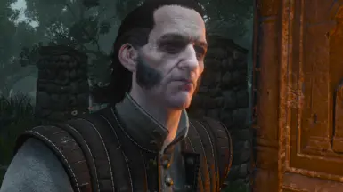 High quality faces witcher 3 как установить