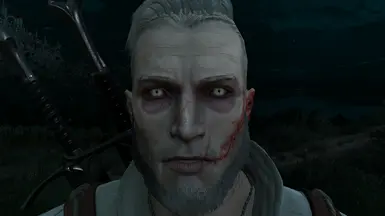 High quality faces witcher 3 как установить