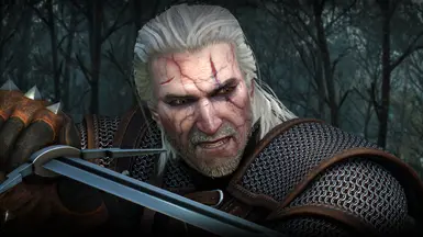 the witcher full combat rebalance