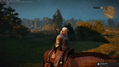 The Witcher 3 8 16 2015 11 21 40 PM