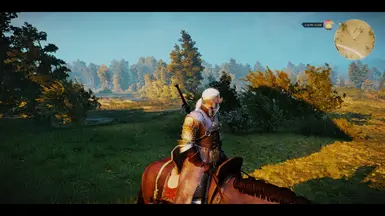 The Witcher 3 8 16 2015 11 21 37 PM