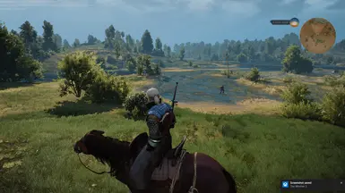 The Witcher 3 8 16 2015 11 22 56 PM