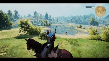The Witcher 3 8 16 2015 11 22 51 PM