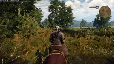 The Witcher 3 8 16 2015 11 24 02 PM