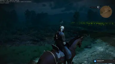 The Witcher 3 8 16 2015 11 24 58 PM