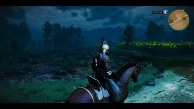 The Witcher 3 8 16 2015 11 24 53 PM