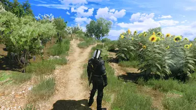 Beauty of Toussaint Reshade
