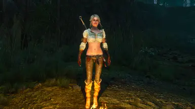 mods witcher ciri skin nexus armor