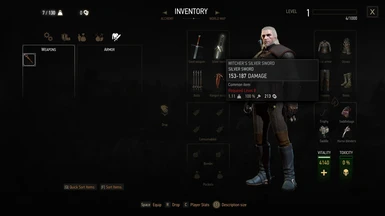 Level 1 Geralt equipment scaled to Level 8 Waterhag