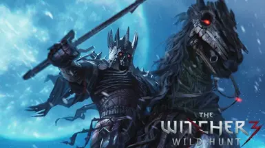 Beat the Wild Hunt V.2.0 Reborn available at The Witcher 3 Nexus