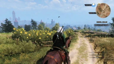 Beat the Wild Hunt V.2.0 Reborn available at The Witcher 3 Nexus