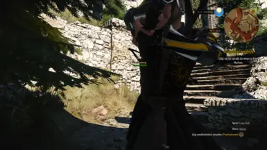 Roche Nilfgaard