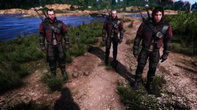Enhanced Wolf school armor for eskel vesemir and lambert