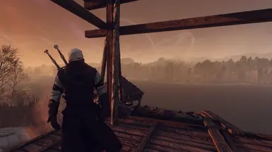 The hired Wolf