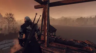 The hired Wolf