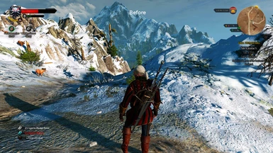 witcher3 2015 08 20 18 13 50 728 before