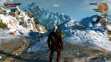 witcher3 2015 08 20 18 15 33 734 after