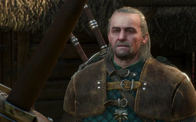 ADDON TO Unique Eyes for ALL Witchers (EXCEPT GERALT) by Feregorn