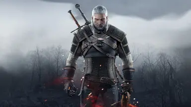 The Witcher Wild Hunt - Reshade by Schokocrossies