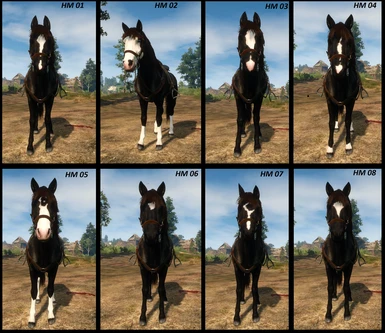 Markings for the Black Beauty (Optional Files)