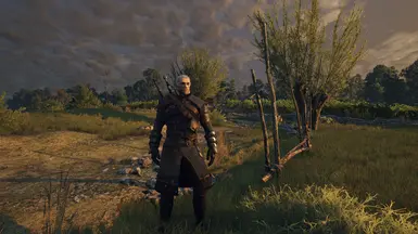 Wagnums Reshade at The Witcher 3 Nexus - Mods and community