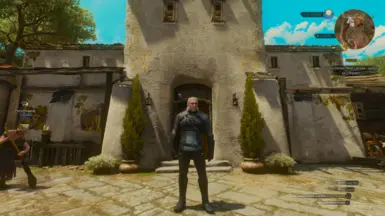 no lighting mod and reshade