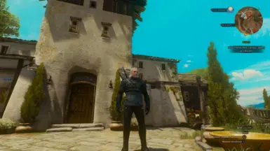 no lighting mod and reshade