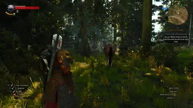 Next Gen