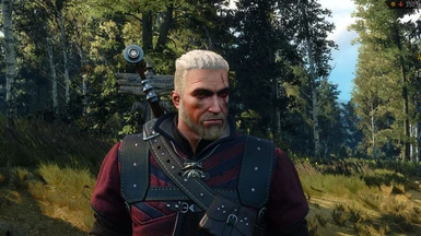 Vikings inspired hair for Geralt